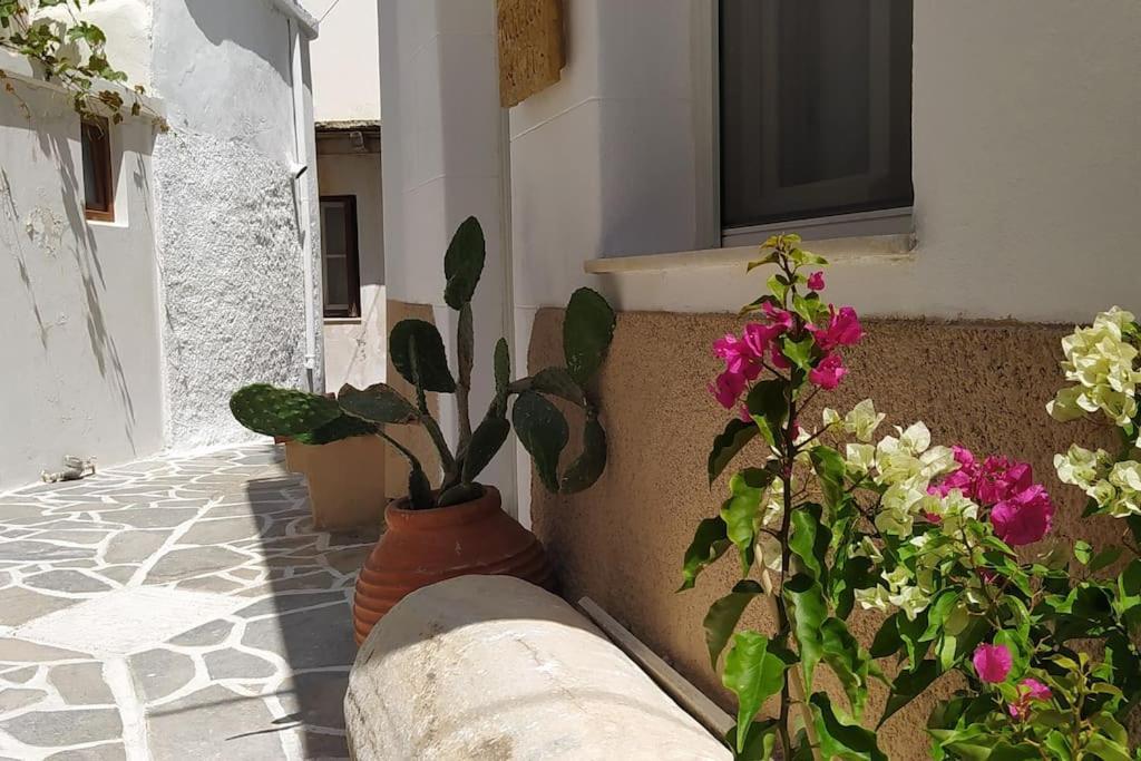 Naxion Esti - Διαμονή Στην Παλιά Χώρα Της Νάξου Naxos City Exterior foto
